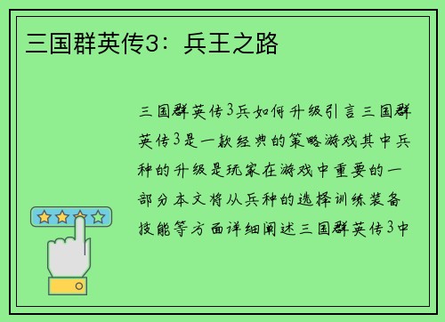 三国群英传3：兵王之路